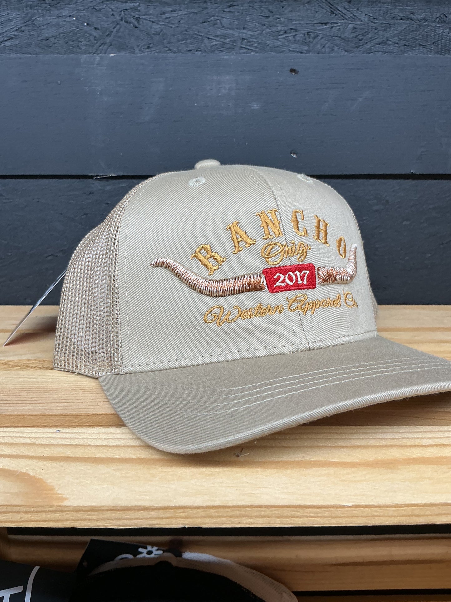 RO Longhorn Western Youth Hat