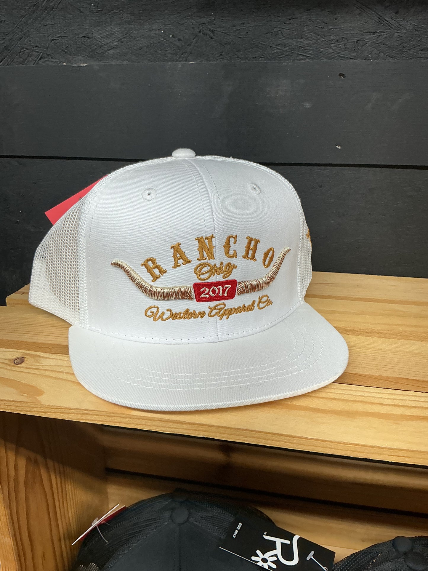 RO Longhorn Western Youth Hat